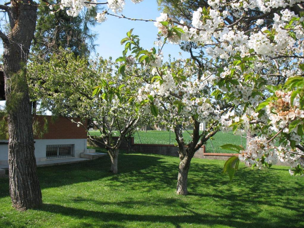 Bed & Breakfast Bompadre Civitanova Marche Ngoại thất bức ảnh